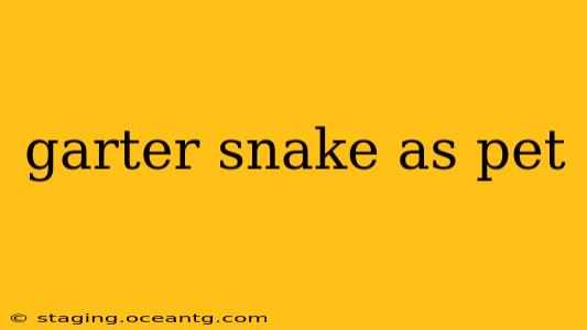 garter snake as pet
