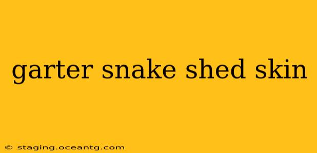 garter snake shed skin