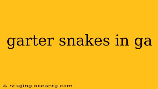 garter snakes in ga