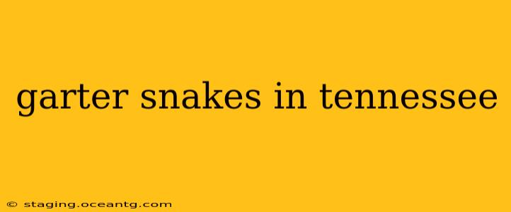 garter snakes in tennessee