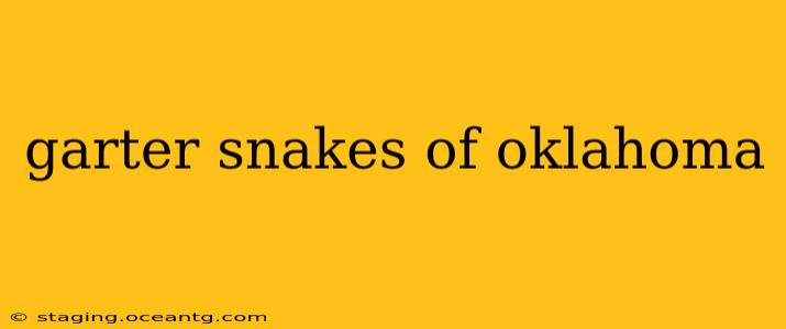 garter snakes of oklahoma