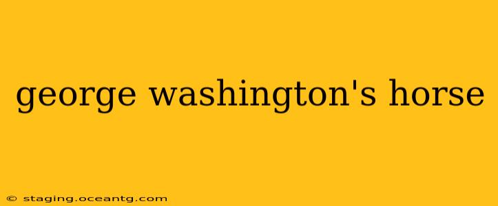 george washington's horse