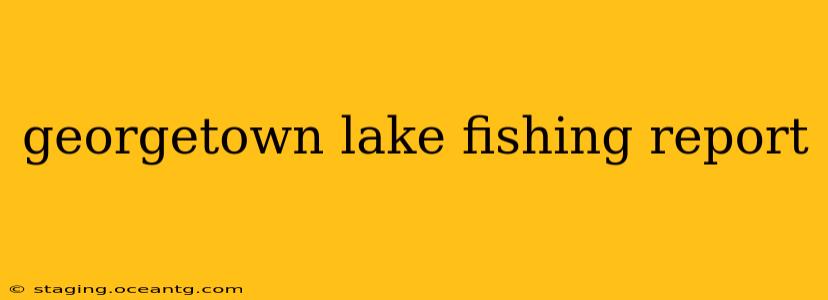 georgetown lake fishing report