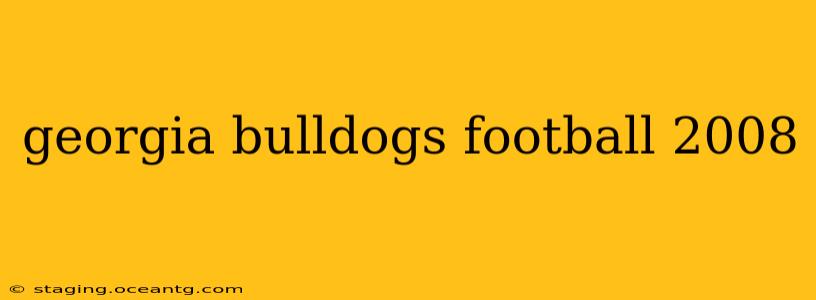 georgia bulldogs football 2008