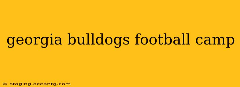 georgia bulldogs football camp