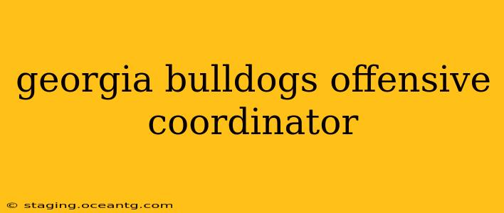 georgia bulldogs offensive coordinator