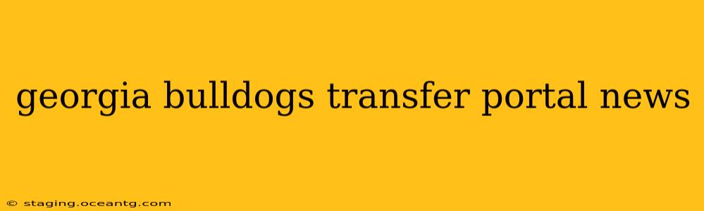 georgia bulldogs transfer portal news