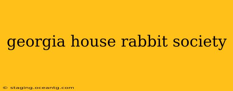 georgia house rabbit society