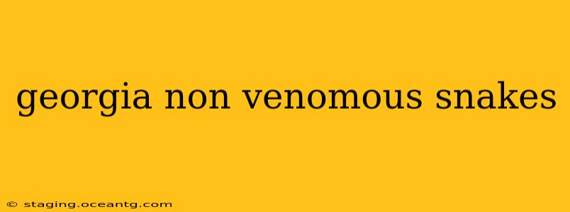 georgia non venomous snakes