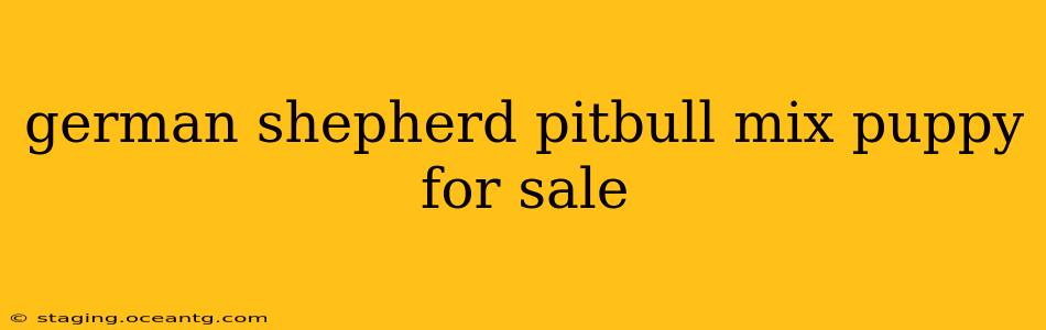 german shepherd pitbull mix puppy for sale
