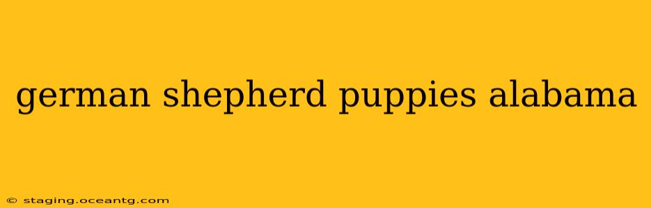 german shepherd puppies alabama