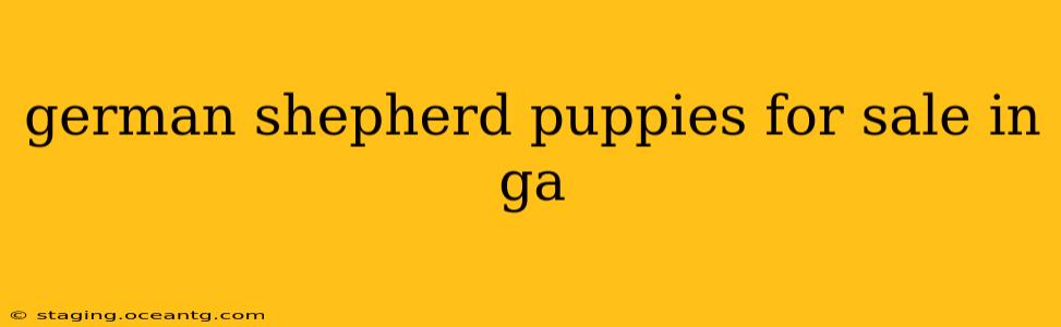 german shepherd puppies for sale in ga
