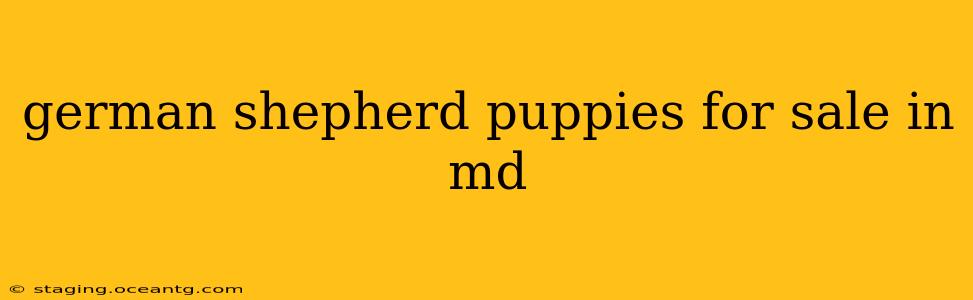 german shepherd puppies for sale in md