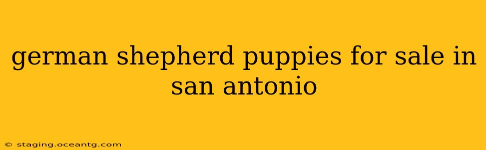 german shepherd puppies for sale in san antonio