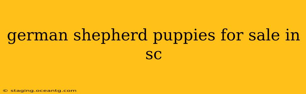 german shepherd puppies for sale in sc