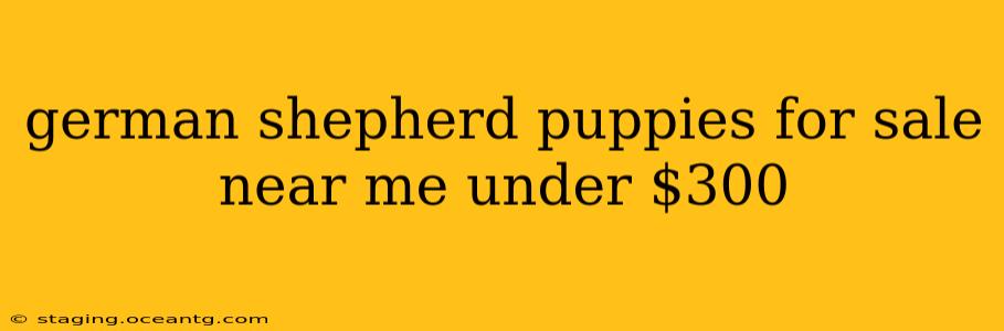 german shepherd puppies for sale near me under $300