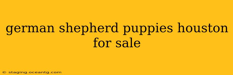 german shepherd puppies houston for sale