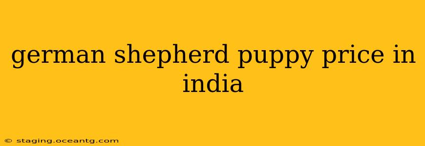 german shepherd puppy price in india