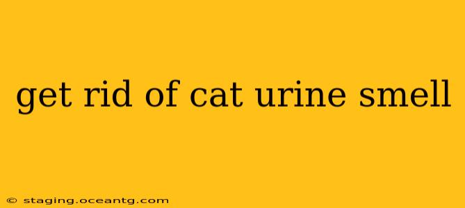 get rid of cat urine smell