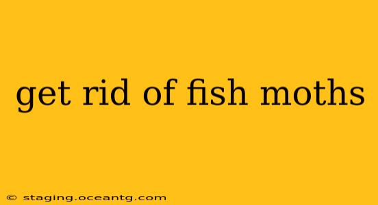 get rid of fish moths