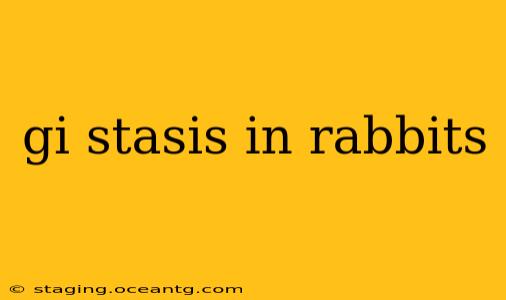 gi stasis in rabbits