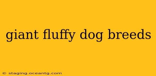 giant fluffy dog breeds