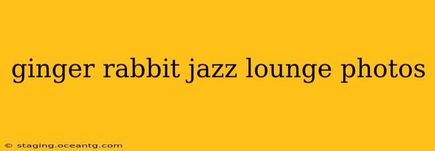 ginger rabbit jazz lounge photos