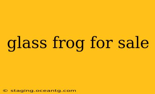 glass frog for sale