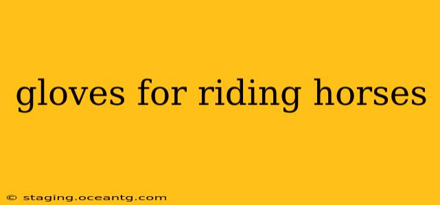 gloves for riding horses