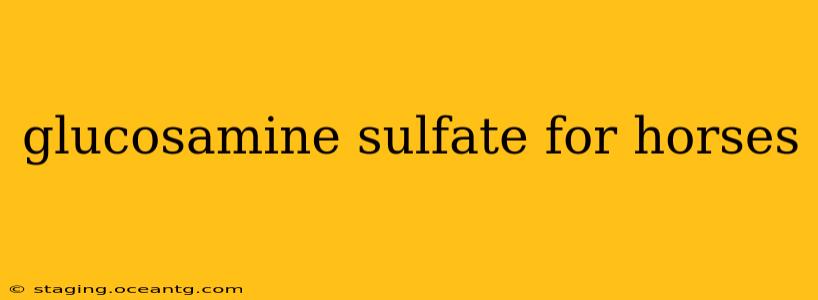 glucosamine sulfate for horses