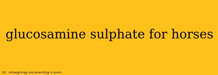 glucosamine sulphate for horses