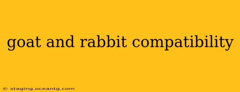 goat and rabbit compatibility
