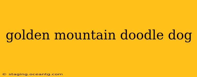 golden mountain doodle dog