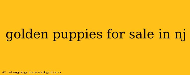 golden puppies for sale in nj