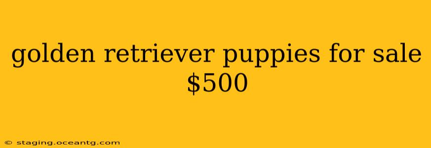 golden retriever puppies for sale $500
