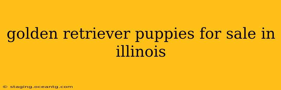 golden retriever puppies for sale in illinois