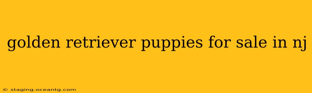 golden retriever puppies for sale in nj