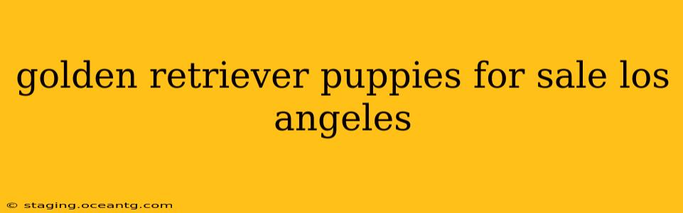 golden retriever puppies for sale los angeles