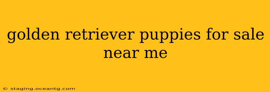 golden retriever puppies for sale near me