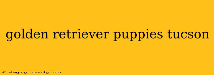 golden retriever puppies tucson