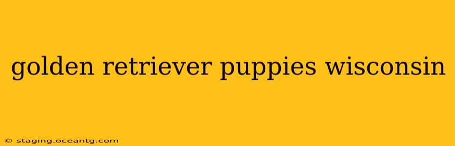 golden retriever puppies wisconsin