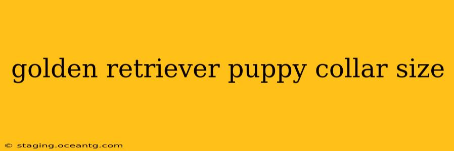 golden retriever puppy collar size