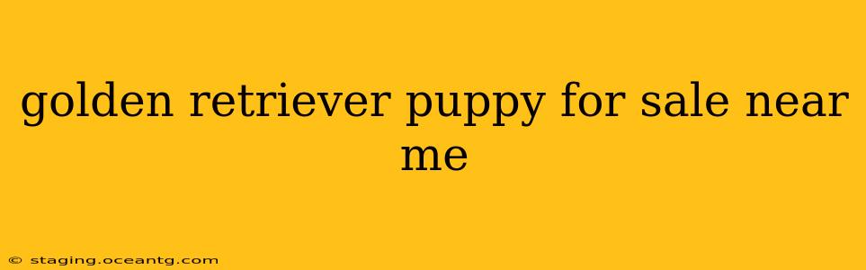 golden retriever puppy for sale near me