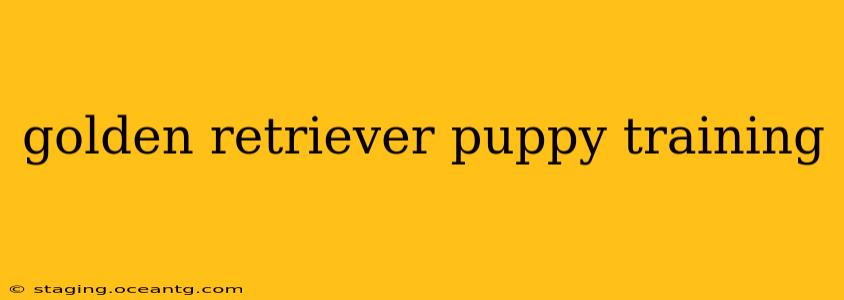 golden retriever puppy training