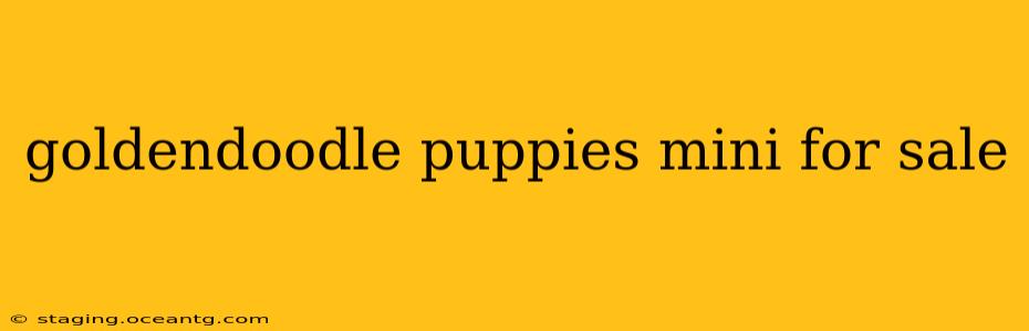 goldendoodle puppies mini for sale