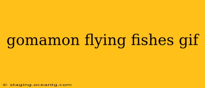 gomamon flying fishes gif