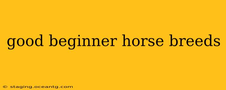 good beginner horse breeds