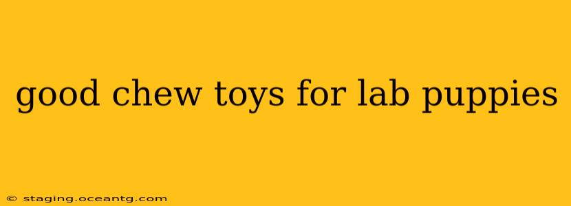 good chew toys for lab puppies