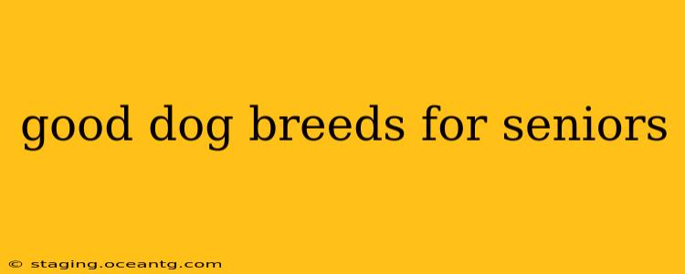 good dog breeds for seniors