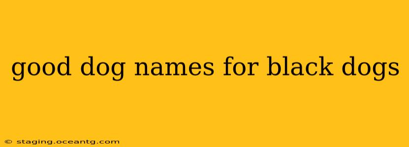 good dog names for black dogs